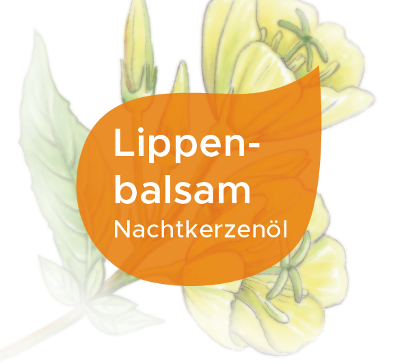 Lippenbalsam mit Nachtkerzenöl