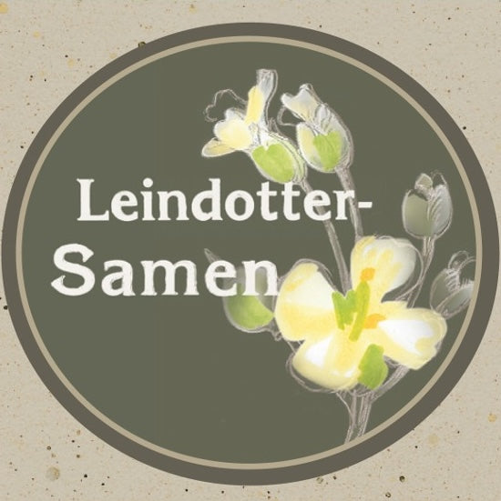 Etikett Leindottersamen mit weißer Leindotterblüte auf beigem Hintergrund