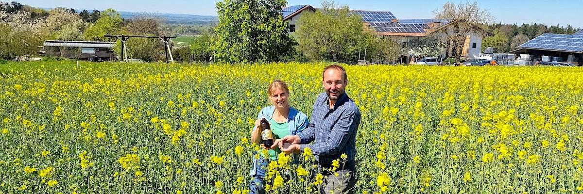 Raps im Frühjahr – Bedeutung der Pflanze, Anbau und Entwicklung zum Speiseöl