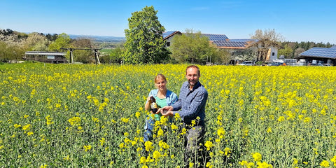 Raps im Frühjahr – Bedeutung der Pflanze, Anbau und Entwicklung zum Speiseöl
