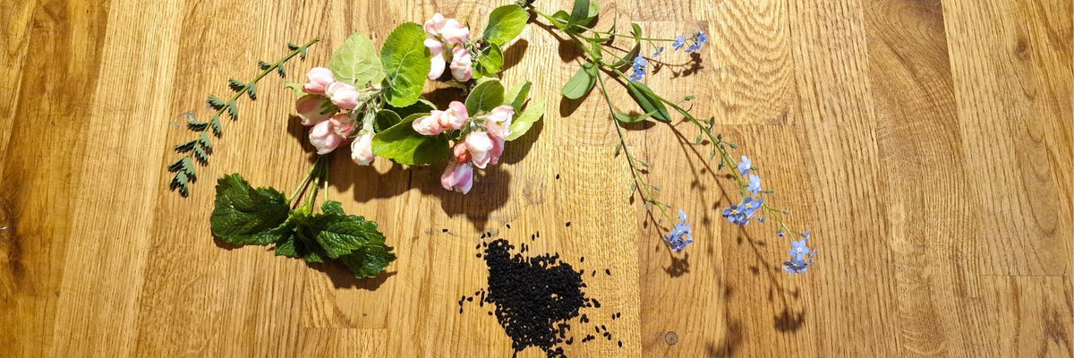 Aromen und ätherische Öle in Speiseölen verstehen – Was riecht und schmeckt wirklich im Öl?