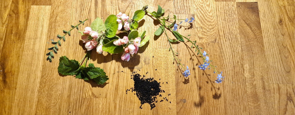 Aromen und ätherische Öle in Speiseölen verstehen – Was riecht und schmeckt wirklich im Öl?