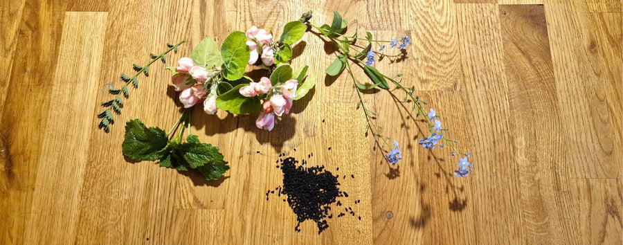 Aromen und ätherische Öle in Speiseölen verstehen – Was riecht und schmeckt wirklich im Öl?