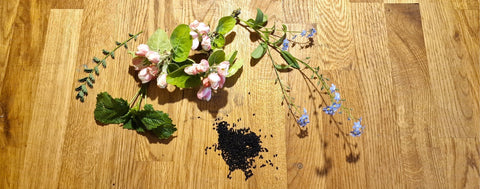 Aromen und ätherische Öle in Speiseölen verstehen – Was riecht und schmeckt wirklich im Öl?