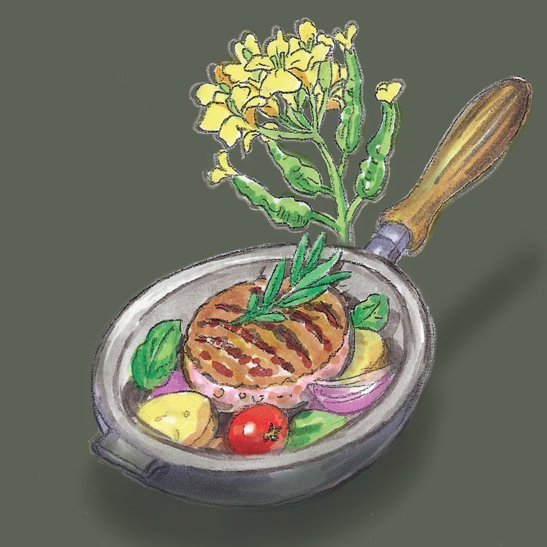 Illustration zum Bratöl der Ölmühle Garting mit gebratenem Fleisch, Gemüse und gelb blühender Rapspflanze