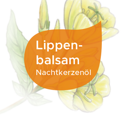 Lippenbalsam mit Nachtkerzenöl