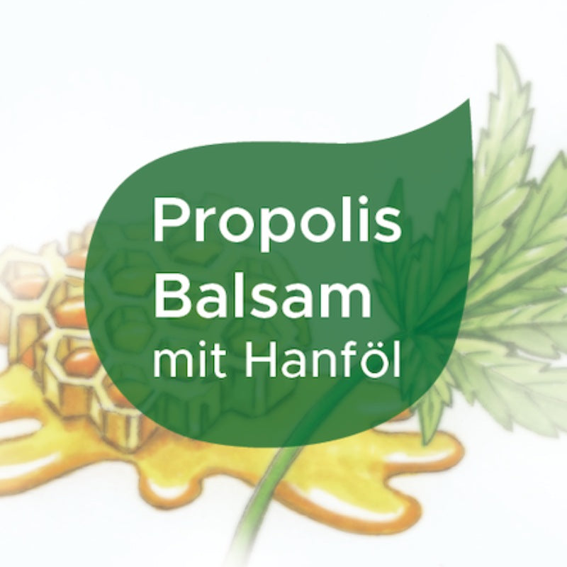 Etikett des Propolis Balsam mit Hanföl, im Hintergrund Honig, Honigwabe und Hanfblatt illustriert 