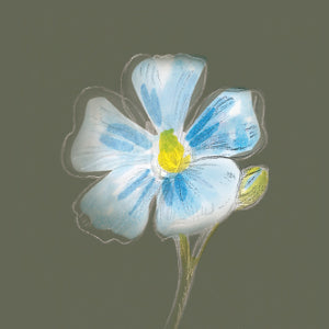 Stilisierte blaue Leinblüte auf dem Produktetikett des Leinöls der Ölmühle Garting.