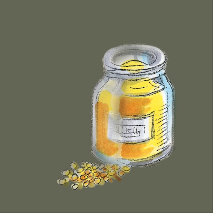 Illustration Senfsamen gelb auf dunkelgrünem Hintergrund