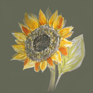 Illustration einer gelb blühenden Sonnenblume mit Blütenkopf und sichtbaren Sonnenblumenkernen