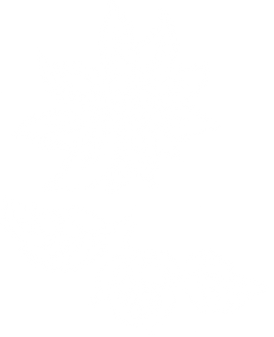 Weiße Illustration einer Sonnenblumenblüte und einer Haselnuss mit Blatt und Blüte auf beige-cremefarbenem Hintergrund.