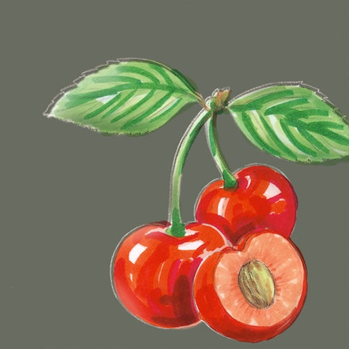 Illustration einer roten Kirsche mit sichtbarem Kirschkern und grünen Blättern auf pastellgrünem Hintergrund, passend zur Kategorie Naturkosmetik der Ölmühle Garting.