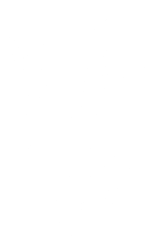 Weiße Illustration eines Hanfblatts und einer gelben Rapsblüte auf beig-cremefarbenem Hintergrund.
